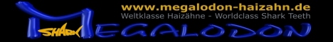 www.megalodon-haizahn.de - WELTKLASSE MEGs von Frank