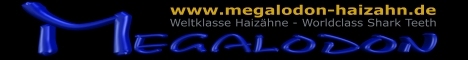 www.megalodon-haizahn.de - WELTKLASSE MEGs von Frank