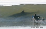 Surfer 2